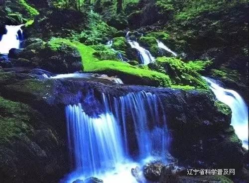 龙蛇本是一家亲-专业问答平台