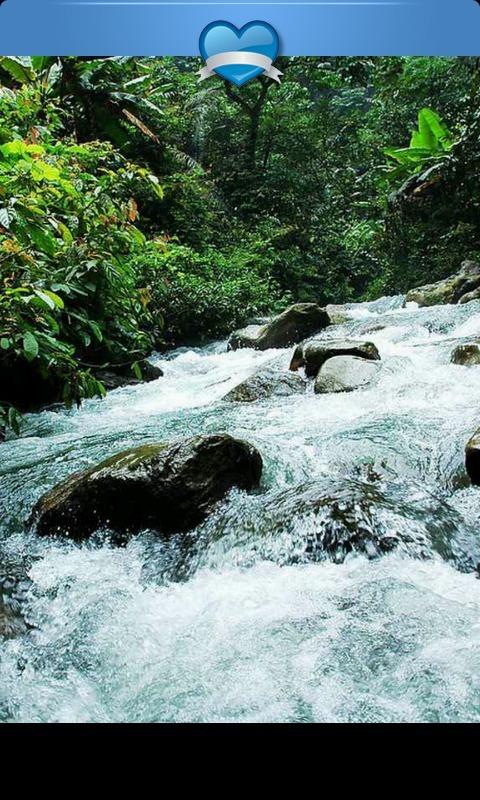 探索知识星球平台,尽在蛋糕用的动物奶油和植物奶油有什么区别?